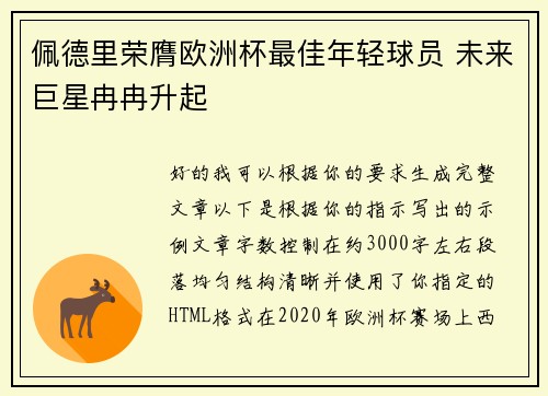 佩德里荣膺欧洲杯最佳年轻球员 未来巨星冉冉升起 佩德里荣膺欧洲杯最佳年轻球员 未来巨星冉冉升起